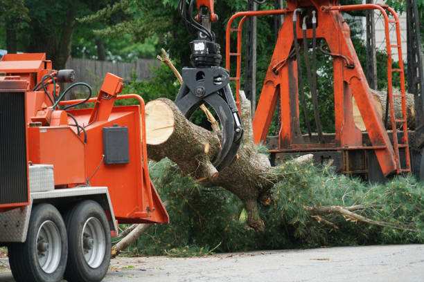 Lawn Drainage Solutions in Spindale, NC